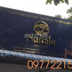 Làm đẹp bảng hiệu alu với chữ nổi inox tại HCM